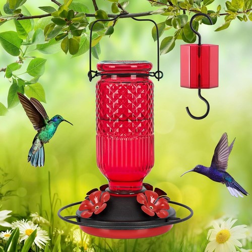 Glass Hummingbird Feeder for Outdoors Hanging, 16 OZ Humming Birds Feeders with - Picture 7 of 11