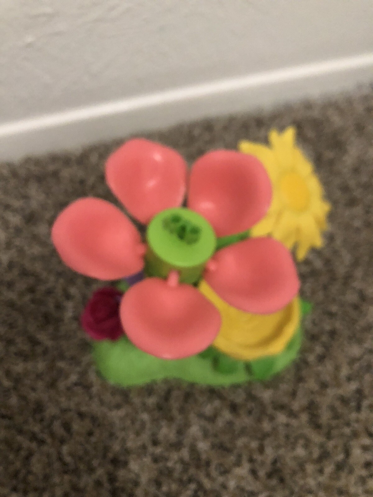 Picture 6 of 6