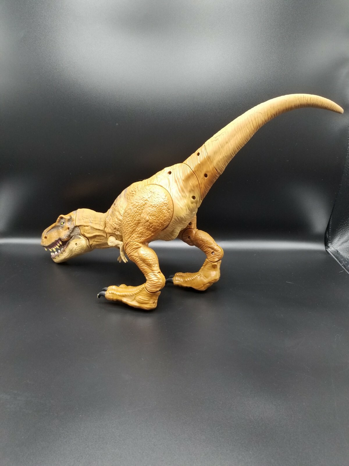 Picture 6 of 11