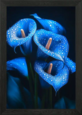 Blaue Calla Lilien mit Tautropfen gerahmtes Wandbild Poster Leinwanddruck Bild