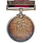 Natal Medal Trooper Dolan Natal Carbineers & Boer War Natal Mounted Infantry WW1