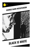 Black Is White George Barr Mccutcheon Taschenbuch Englisch 2023 Sharp Ink