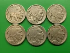 1917 18 19 20 23 24 Buffalo Nickels. Actual Coins. Partial Date.