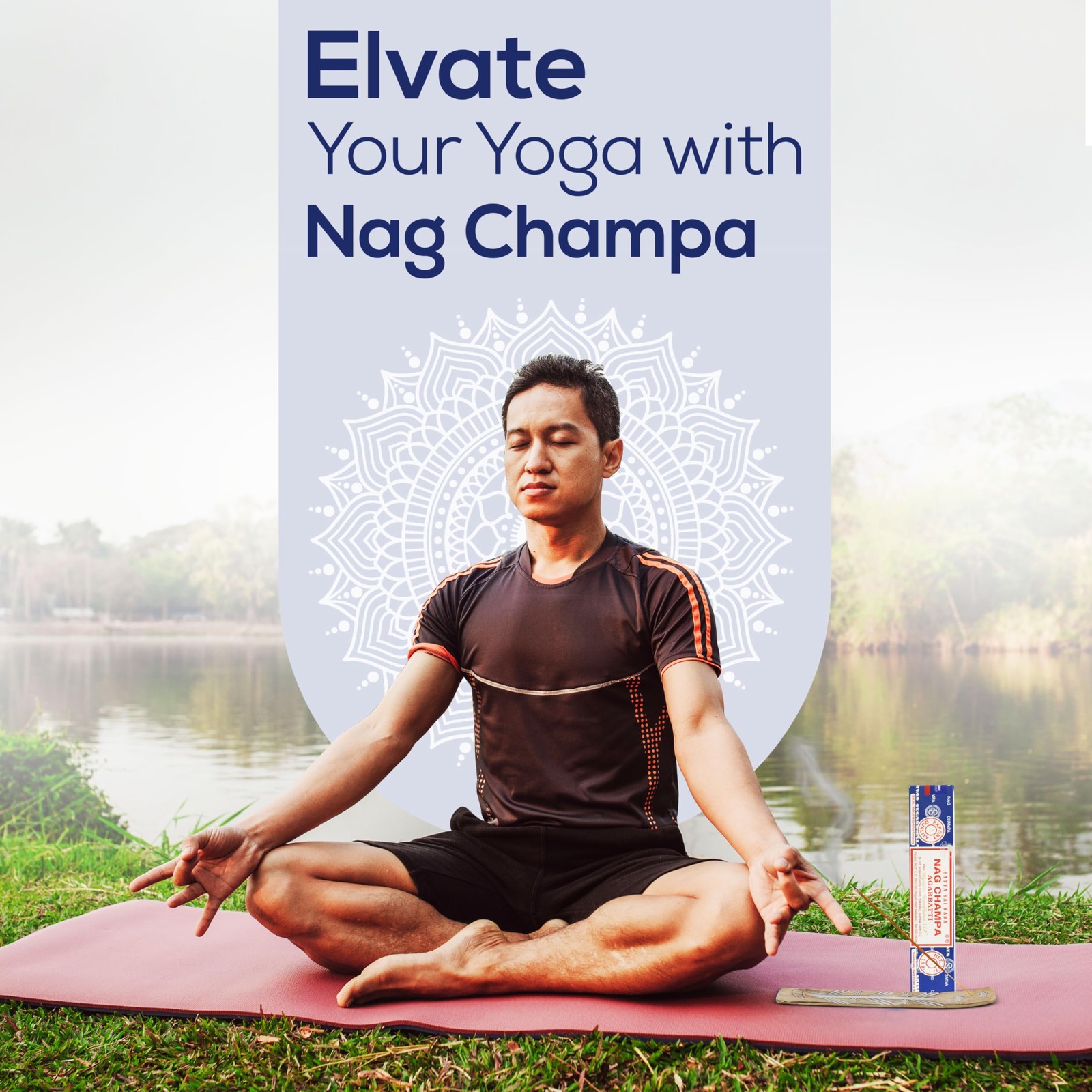 Satya Nag Champa Incense Sticks 250 gm Pack, sai Baba Insenses with Raajsee