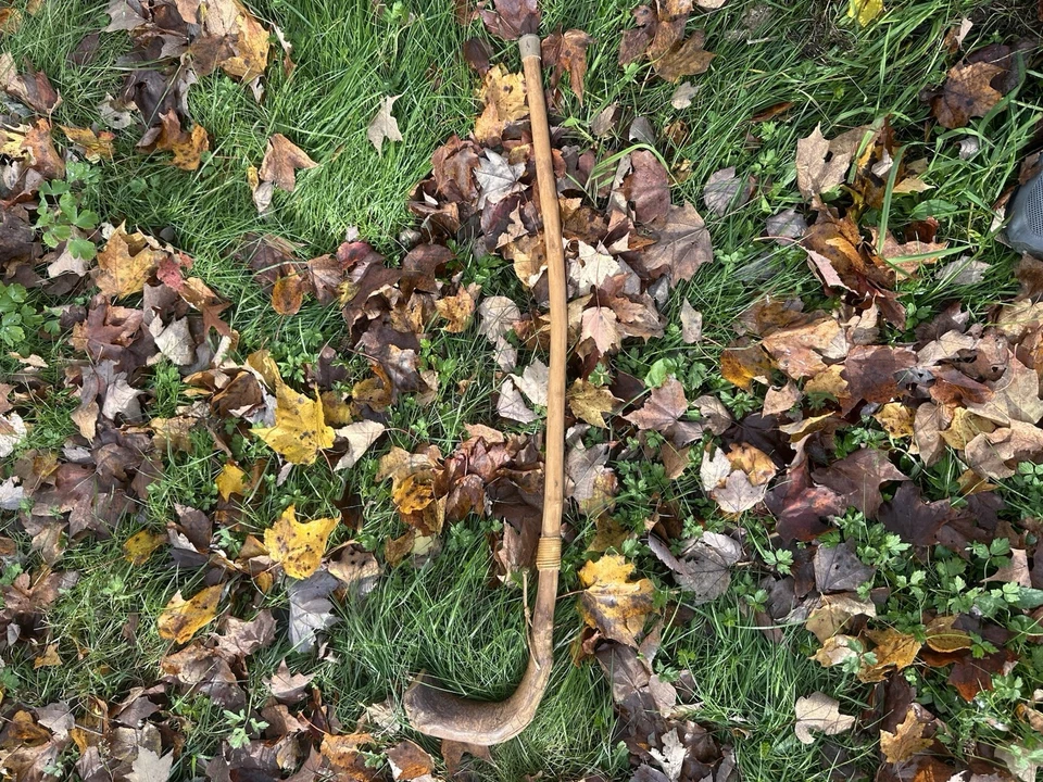 Bastón de madera de bruja de los Apalaches Bastón Apalaches Dicho Mantén alejados a los caminantes Foto 4 de 4