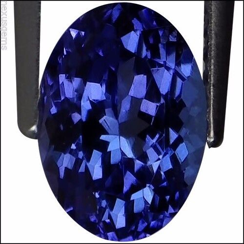 1.70 Ct IGI Certified AA Natural Tanzanite Gemstone Blue Violet Oval Cut - Picture 3 of 5