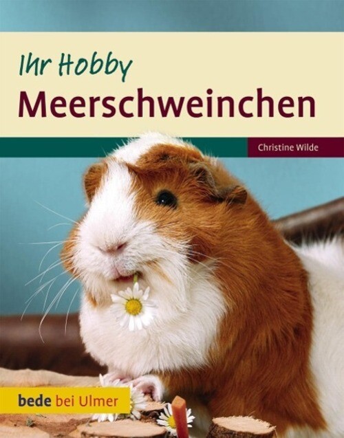 Thumbnail - Meerschweinchen Ihr Hobby Christine Wilde Buch Bede Bei Ulmer 80 S.