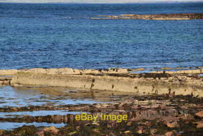 Photo 6x4 Wave cut platform, Robert's Haven John O' Groats  c2021