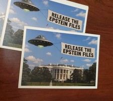 Release The Epstein Files Vinyl Bumper Sticker Weatherproof Gloss Made In Usa