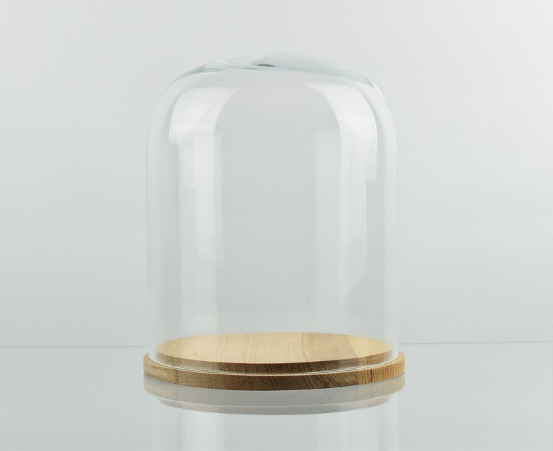 Medium Glass Dome Display Cloche With Natural Base 22 cm x 18 cm