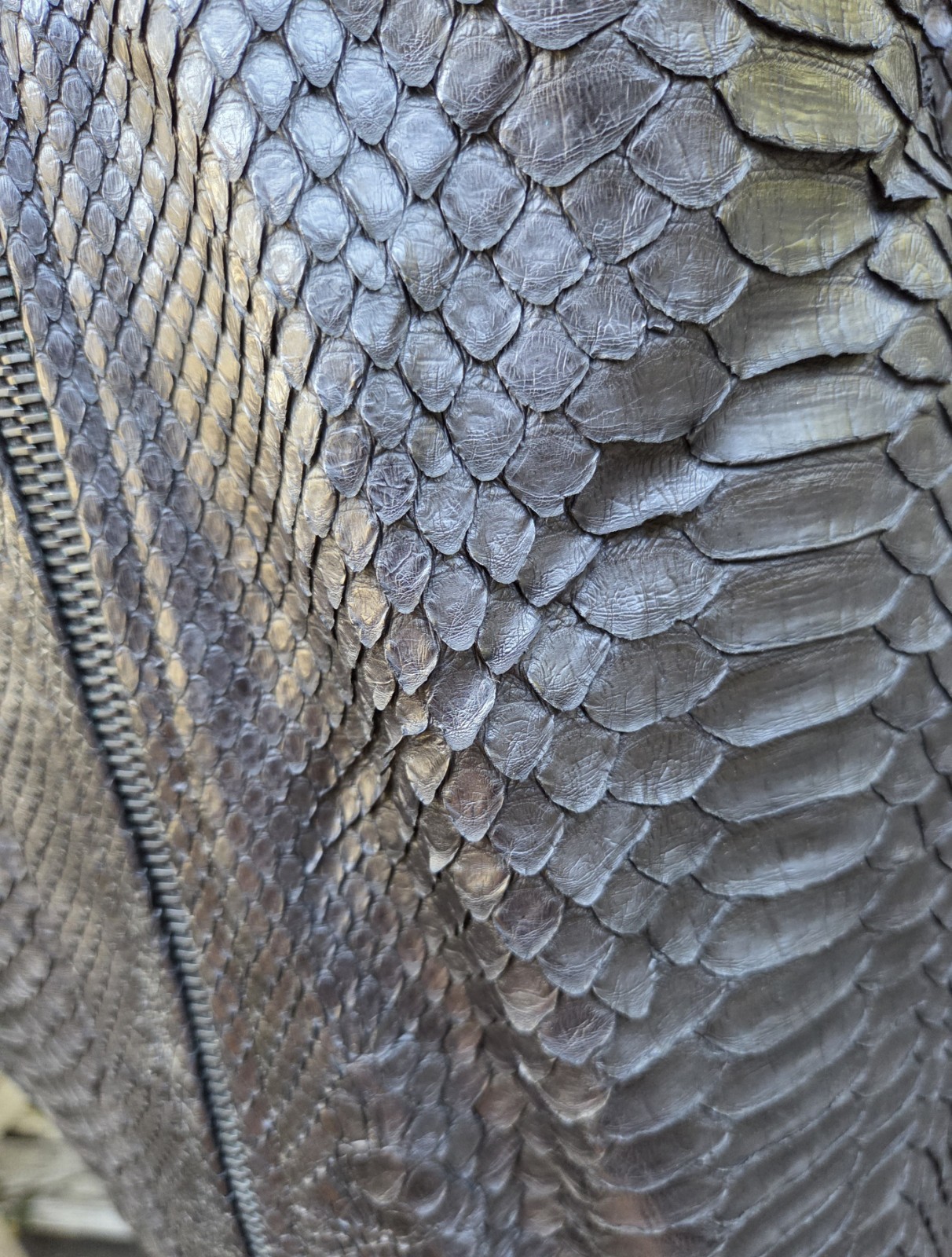 Raw 7 Men Full Zip Python Suede Jacket Size XL Bl… - image 4