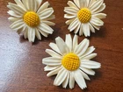 Vintage Costume Jewelry Pin & Earrings Set White Daisies 1940s Celluloid Flowers
