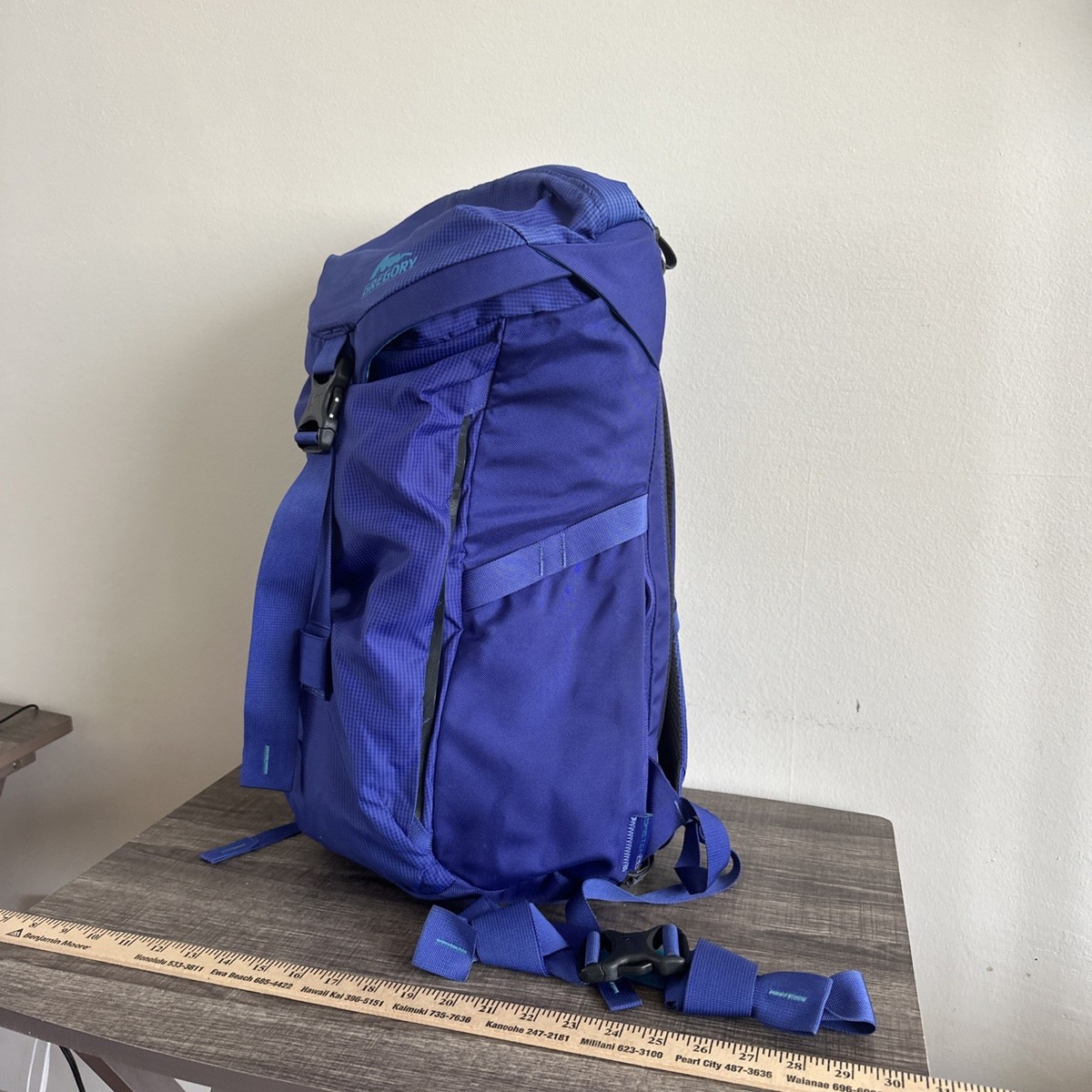 Gregory Sketch 28L Outdoor Sport Backpack (Insignia Blue) View 2