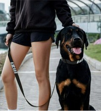 iiizi Dog Leash Heavy Duty COMFORTABLE Padded Leash Long Nylon 4 Feet 4 Foot RED