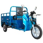 Elektro Lastendreirad 1200W 60V Cargo Transporter Maximales Ladegewicht 200kg