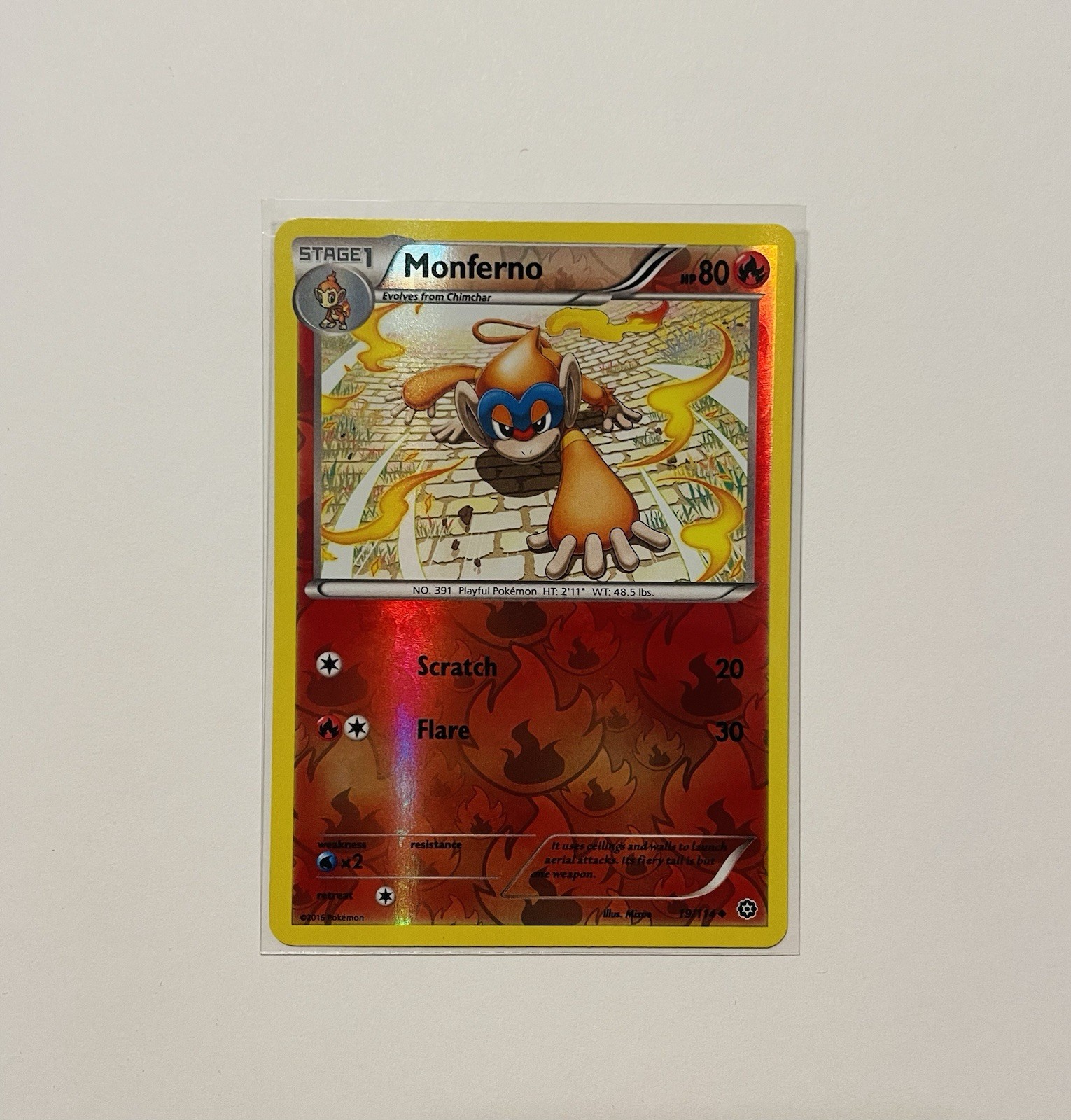 Monferno 19/114 - XY Steam Siege - Reverse Holo - Pokémon Card NM