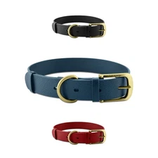 Classic Heavy Duty Dog Collar Waterproof Odor Proof with Metal Hardware