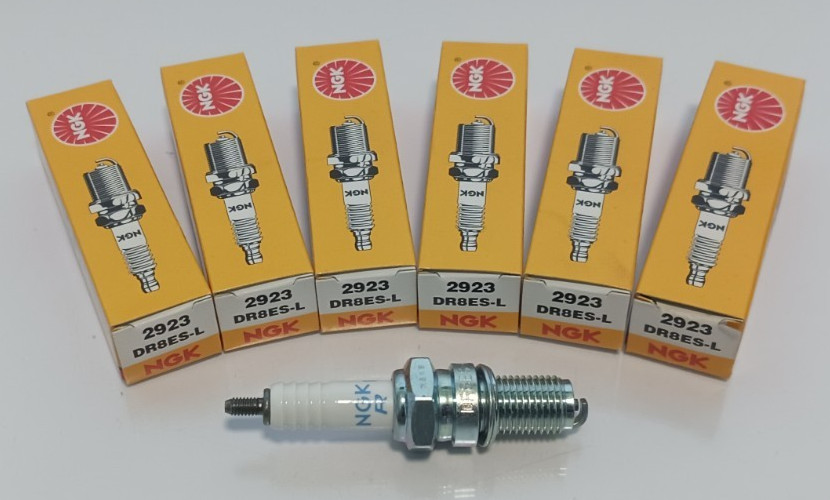 6X GENUINE OEM NGK SPARK PLUGS DR8ES-L NOS 2923 FREE SHIPPING