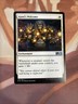 Ajani's Welcome - M19 2019 Magic the Gathering MTG