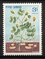 Timbre / STAMP  CAMBODGE  1965  Y&T  N° 165  Neuf ** SANS TRACE DE CHARNIERE