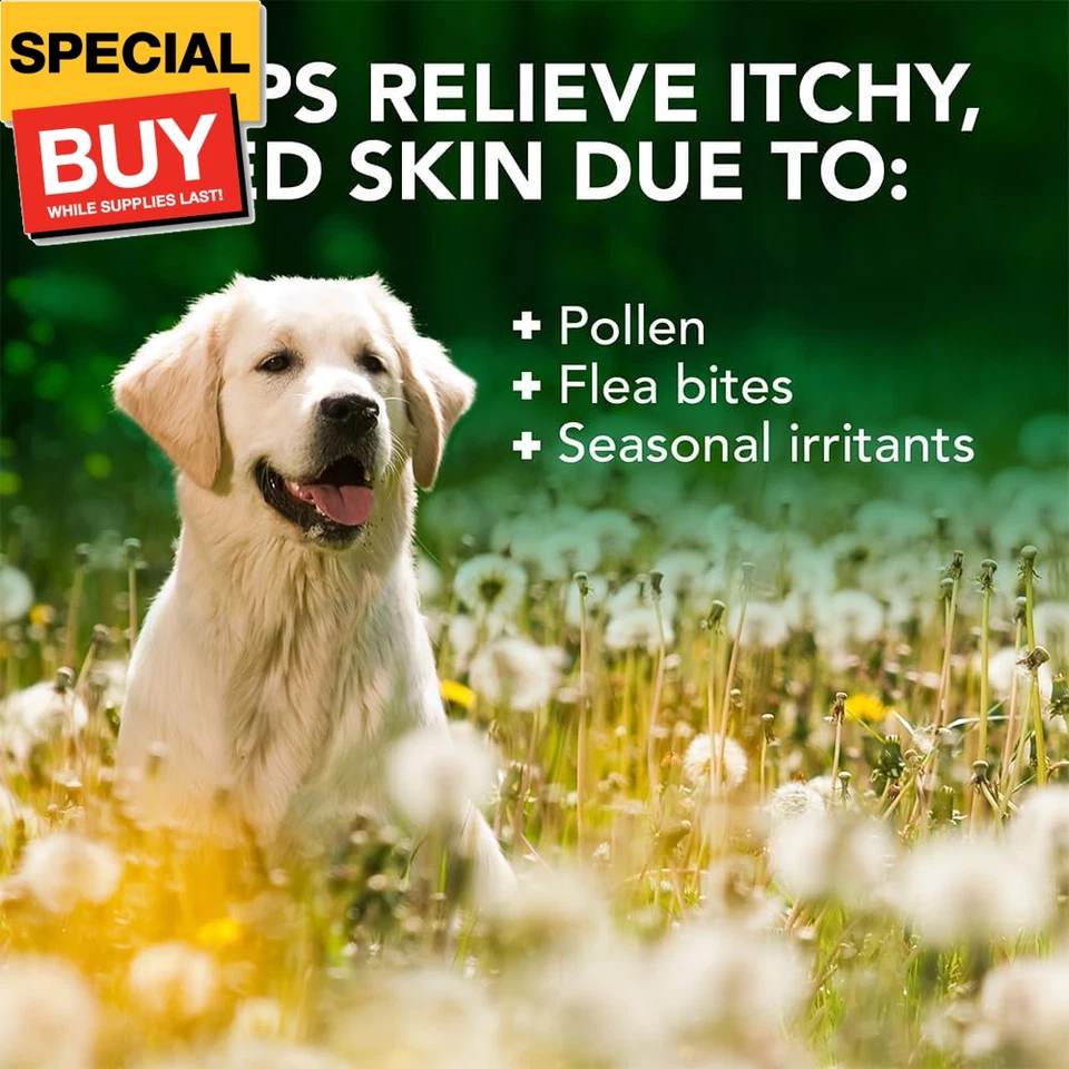Champú para aliviar la picazón de alergia para perros | Limpia y alivia las molestias de la temporada A Foto 4 de 4