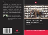 Tagnon Christian Renaud Gandaho | GestãO à Maneira Da Costa Do Marfim | Buch