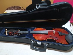 Ronald Sachs Violin Handmade 2016 With Case And Bow 4/4