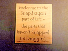 verse - Welcome to the Snapdragon part of... - Rubber Stamp - Wood Mounted - NEW