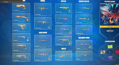 Pc valorant account with 25+ skins and 1 knife good skins like prime,gaia,etc