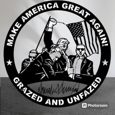 Donald Trump Shot/Fight 2024 Election Wall Art