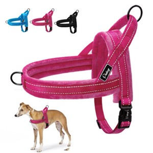 padded front walking harness