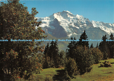 D053051 Matrize Jungfrau. G. D Auguanno. Nr. 100
