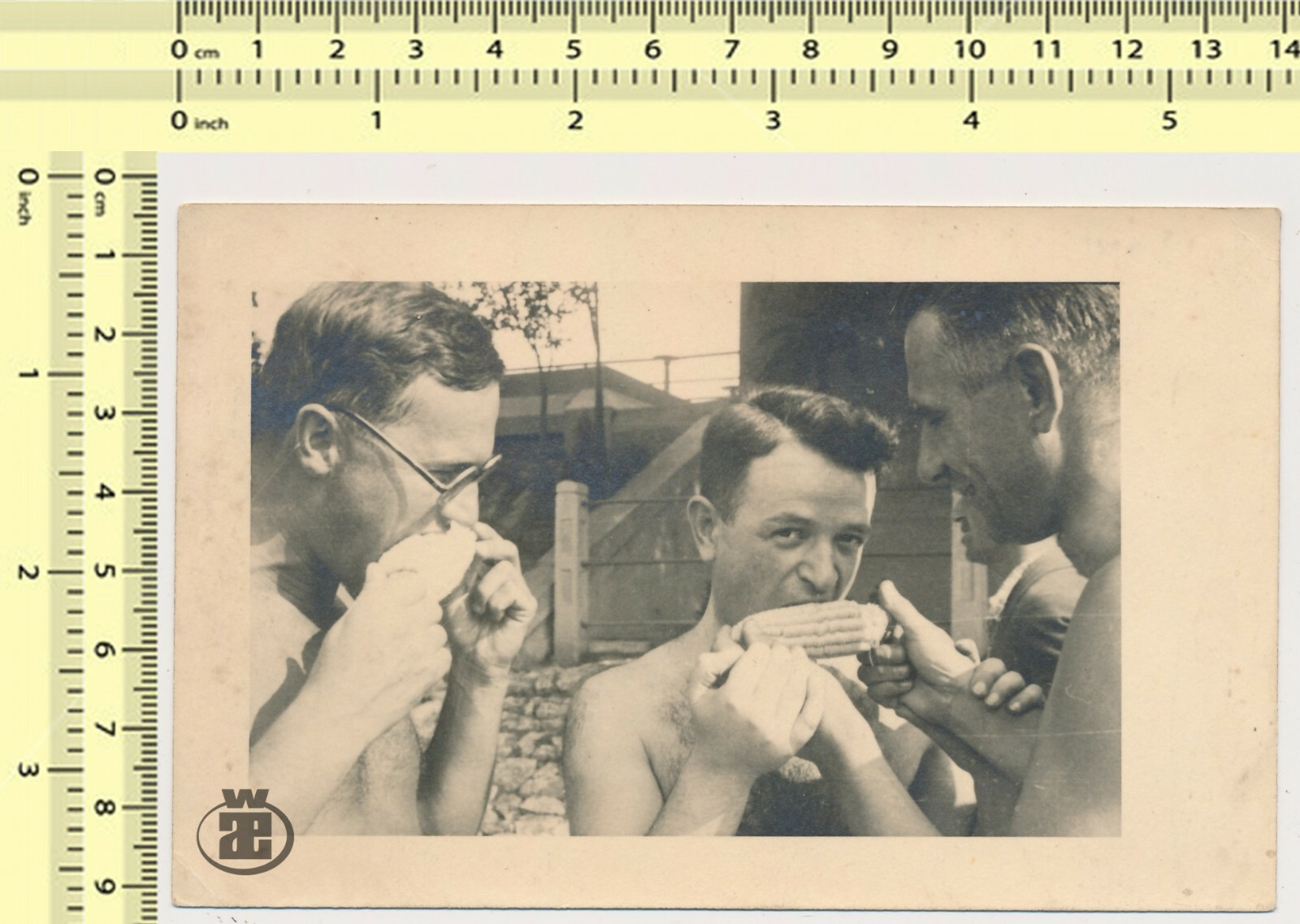 077 Hombres Chicos Comiendo Maíz Chico Alimentando Abstracto Gay Int Males Foto de Colección Orig.