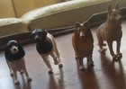LOT OF 4 AMAZING ASSORTED DOG BREED FIGURES TOYS 2"-2.25" tall 3.25"- 3.5"long — photo 4