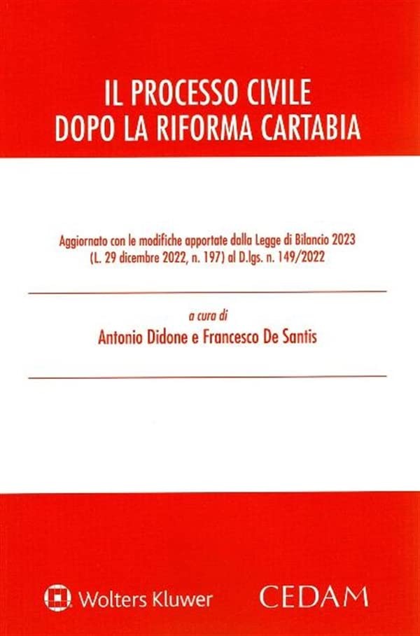 Francesco De Santis Antonio D Il processo civile dopo la riforma Car (Paperback)