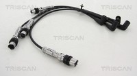 ZüNdleitungssatz Triscan 8860 29030 FüR Seat VW FOX 5Z1 5Z3 5Z4 5Z5 Ibiza 3 6L1