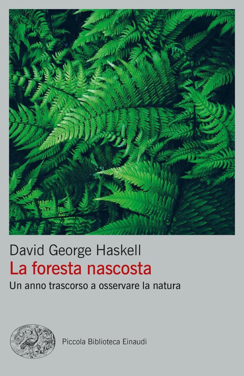 Libri Haskell David George - La Foresta Nascosta. Un Anno Trascorso A Osservare