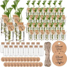 48 Pcs 3.54'' Plastic Plant Propagation Stations W/ Hole Lid 4oz Planter Vase