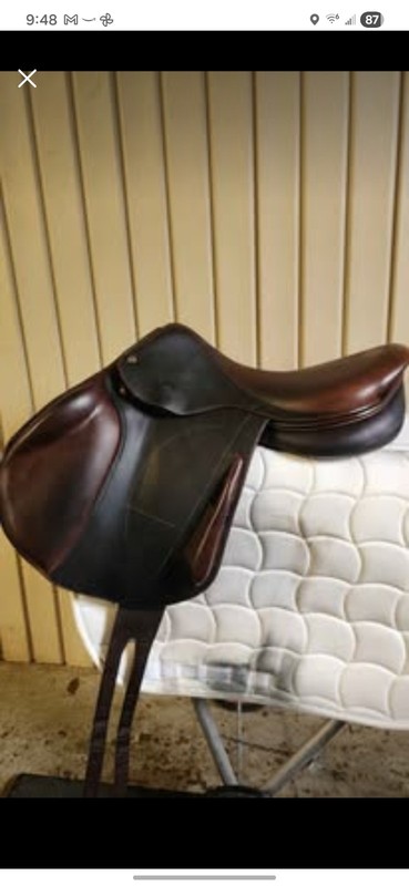 Arion C2 17-17.5 Jump Saddle