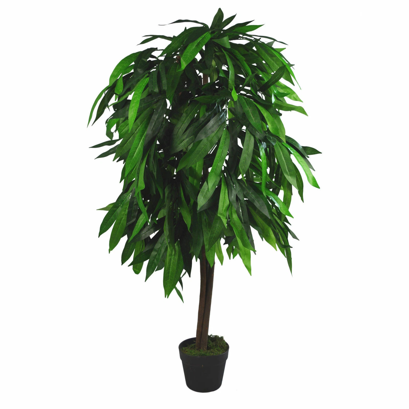 120cm Tall Mango - 7106
