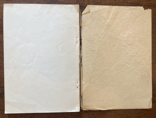 His Cross and Mine by Meade MacGuire Review & Herald Publishing 1927 - Picture 12 of 12