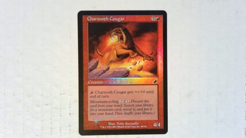Foil Chartooth Cougar Scourge - Magic the Gathering Red - 第 1/2 張圖片