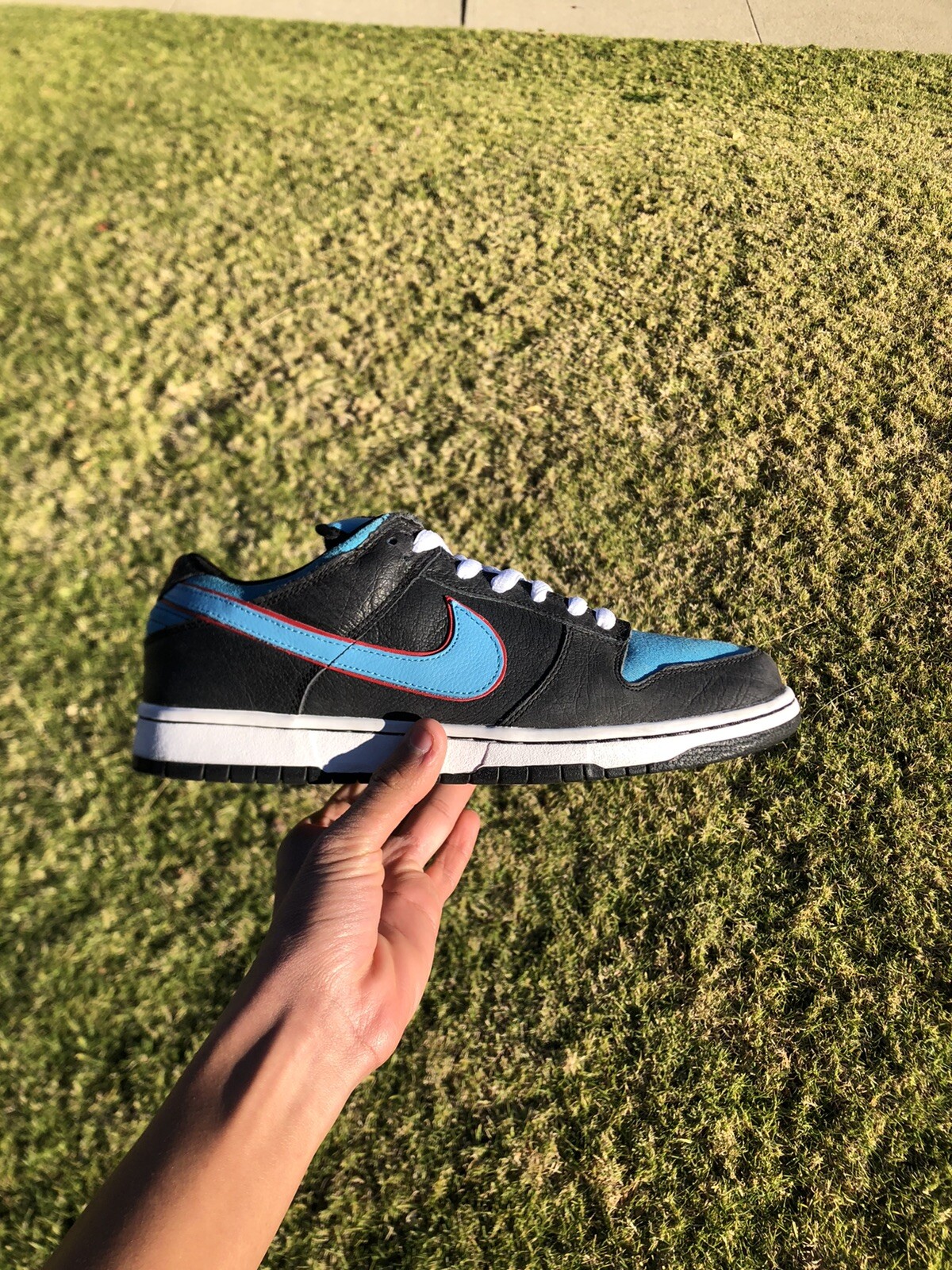 nike sb dunk low angels and demons