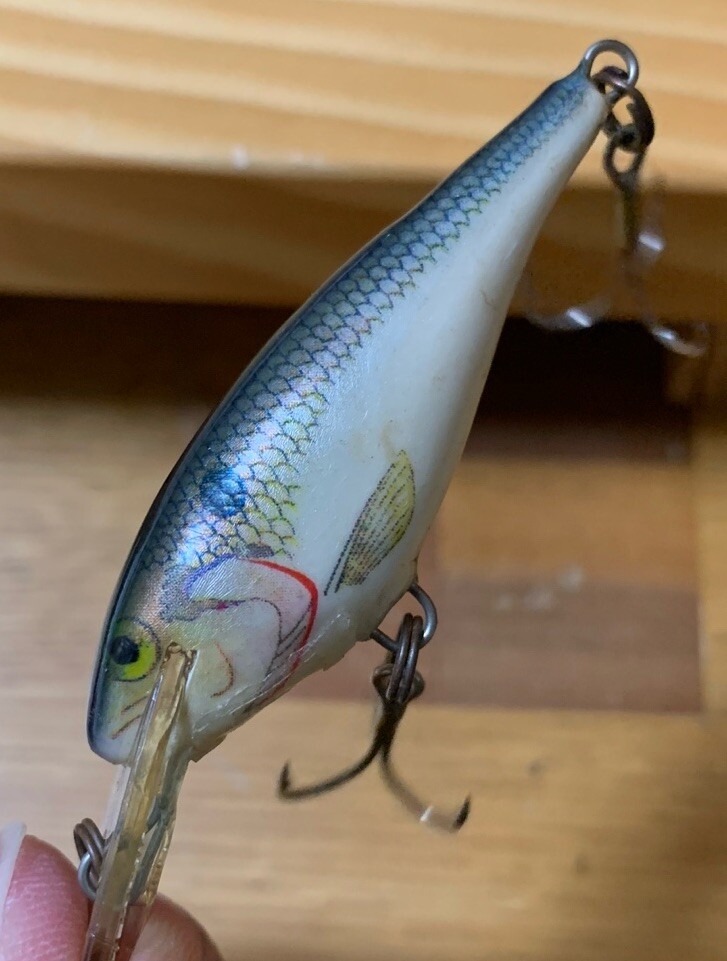 Rapala Jointed Shad Rap 05 Leurre de pêche, 5,1 cm, doré jaune, taille unique, multi (JSR05W