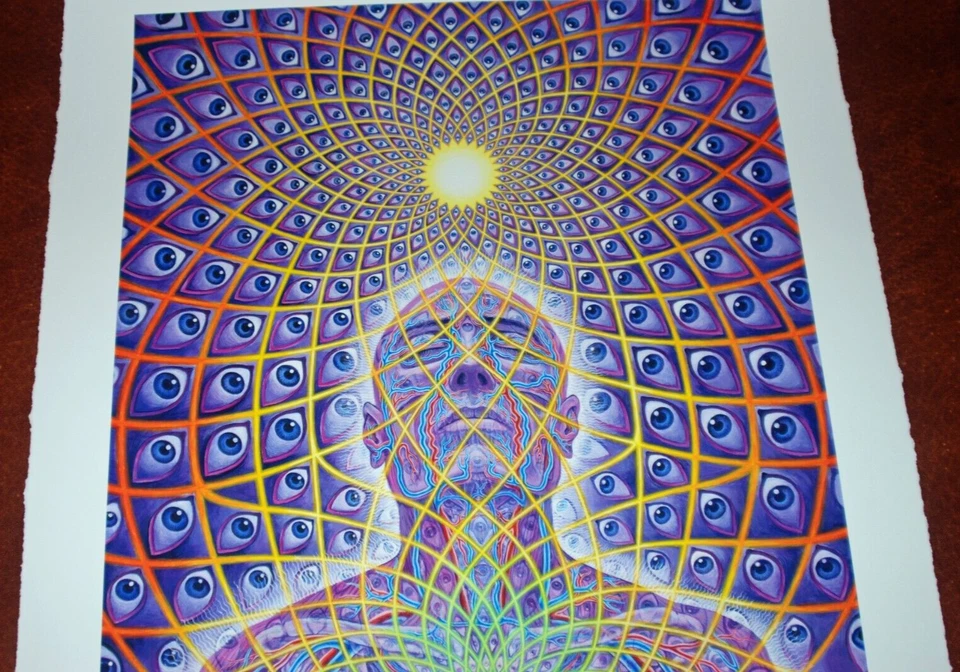 Alex Grey Kunstdruck Ecstasy S/# 139/200 mit COA Tool Poster Künstler Psychedelic - Bild 3 von 4