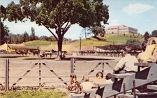 1968 NJ Branchville Sussex County Horse Show #2 Horses UNP Postcard N9