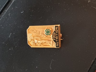 Vtg County Honor 4H Food Nutrition Lapel Pin Sponsor The General Foods Corp Fund