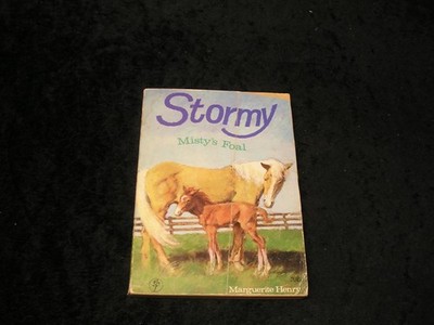 Stormy Misty's Foal