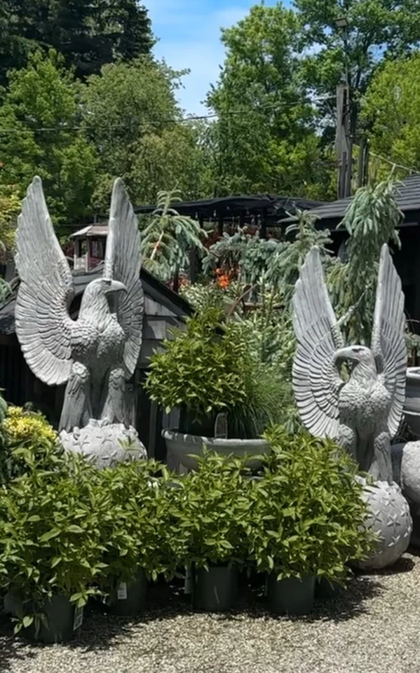 Estatua de jardín exterior fibra de vidrio globo águila en estrella de EE. UU. 7,5 pies de alto EE. UU. Foto 2 de 2