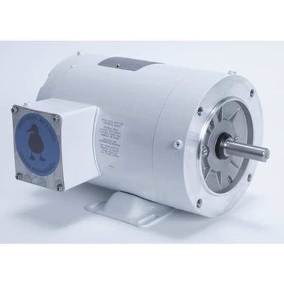 Leeson 115743.00 Washdown Motor,1/2Hp,3-Phase Design,Cwse
